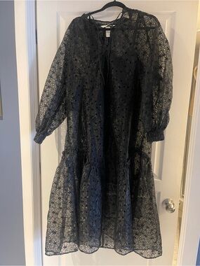 H&M Black Sheer Lace Dress with Floral Cutouts